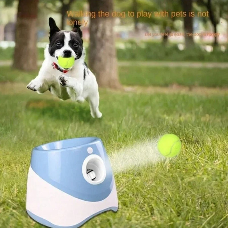 Automatyczny podajnik piłek dl – Catapult Launcher Toy recenzja i cena