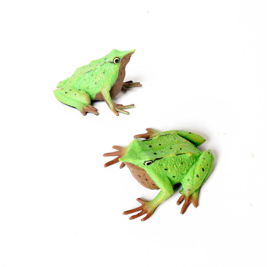 Rainforest Animals Frogs Figur – Kids Toys Reviews recenzja i cena