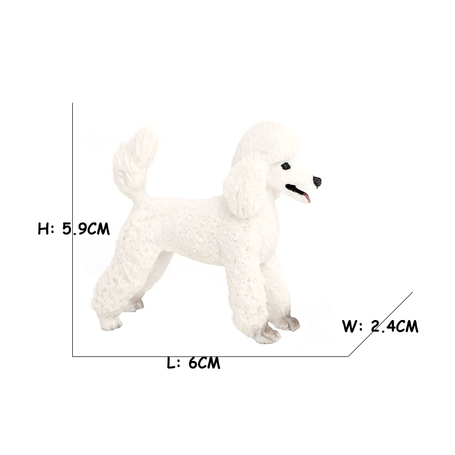 Husky French Collie Pudel Pomo – Kids Toys Reviews recenzja i cena