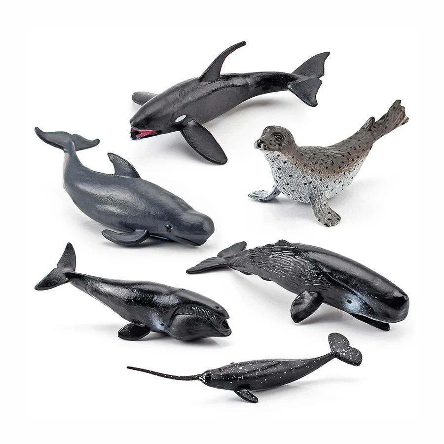 Zwierzęta morskie Zabawka na f – Kids Toys Reviews recenzja i cena
